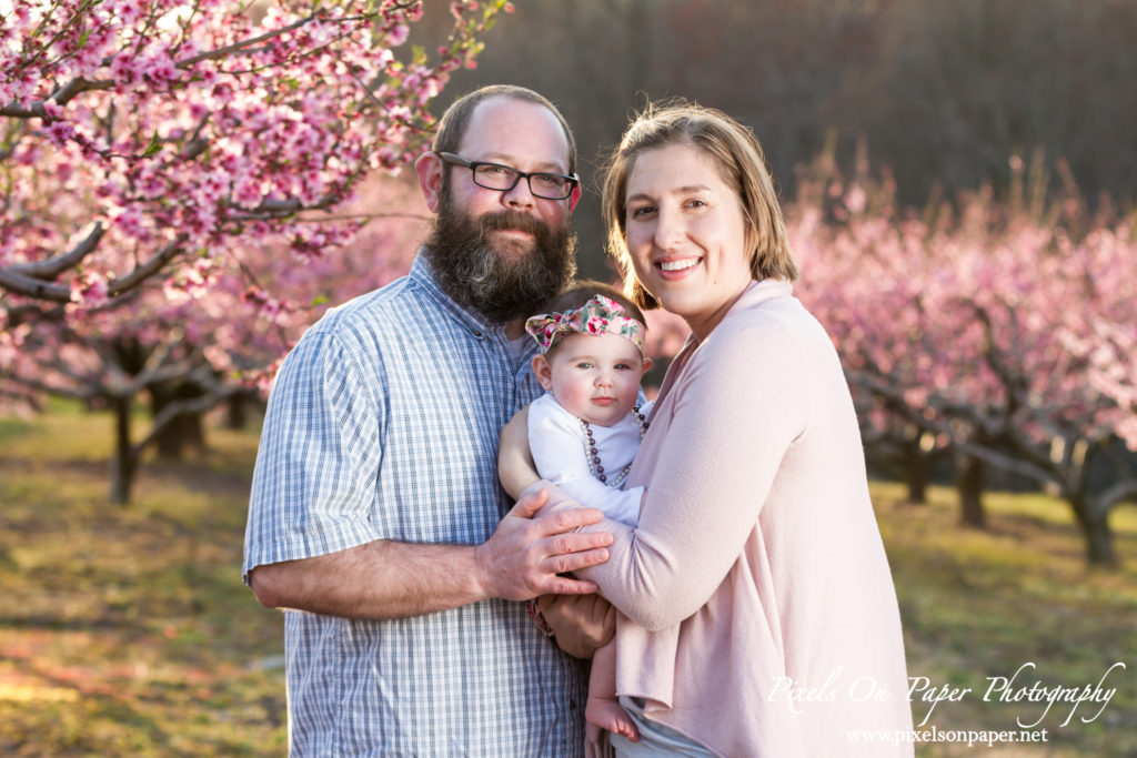 pixels on paper photographers baby senter family outdoor peach orchard portrait photo