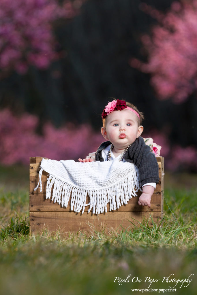 pixels on paper photographers baby senter family outdoor peach orchard portrait photo