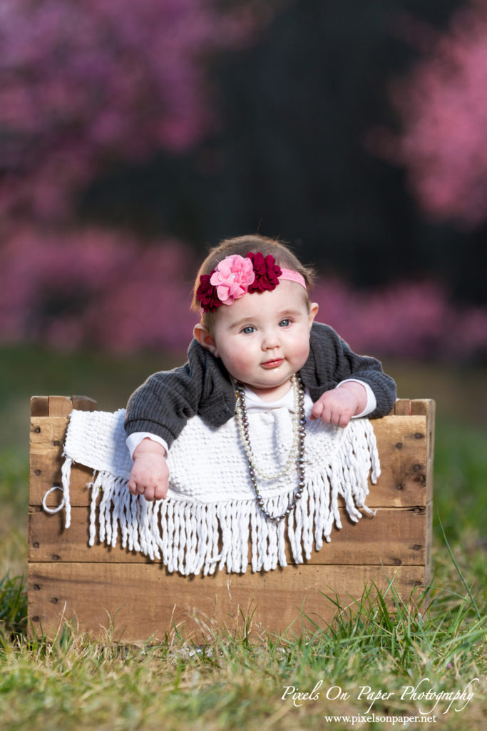 pixels on paper photographers baby senter family outdoor peach orchard portrait photo