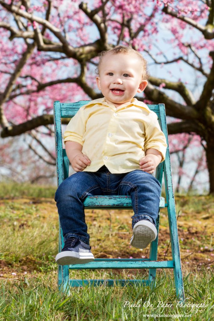 Orozco family outdoor peach orchard portrait baby announcement photo