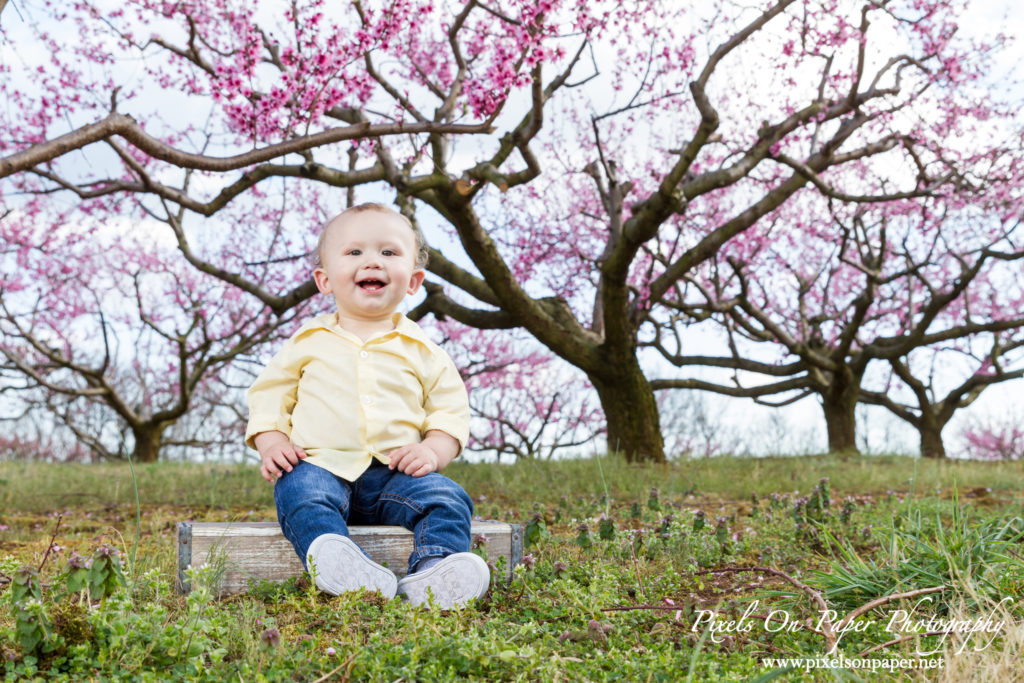 Orozco family outdoor peach orchard portrait baby announcement photo