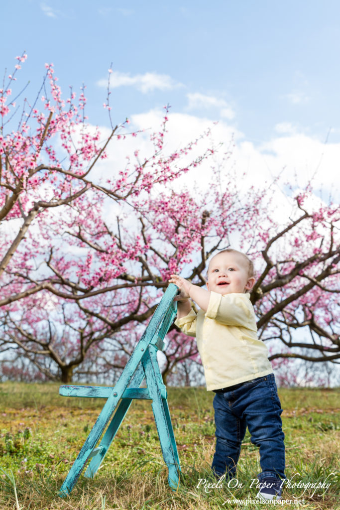 Orozco family outdoor peach orchard portrait baby announcement photo