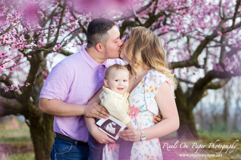 Orozco family outdoor peach orchard portrait baby announcement photo