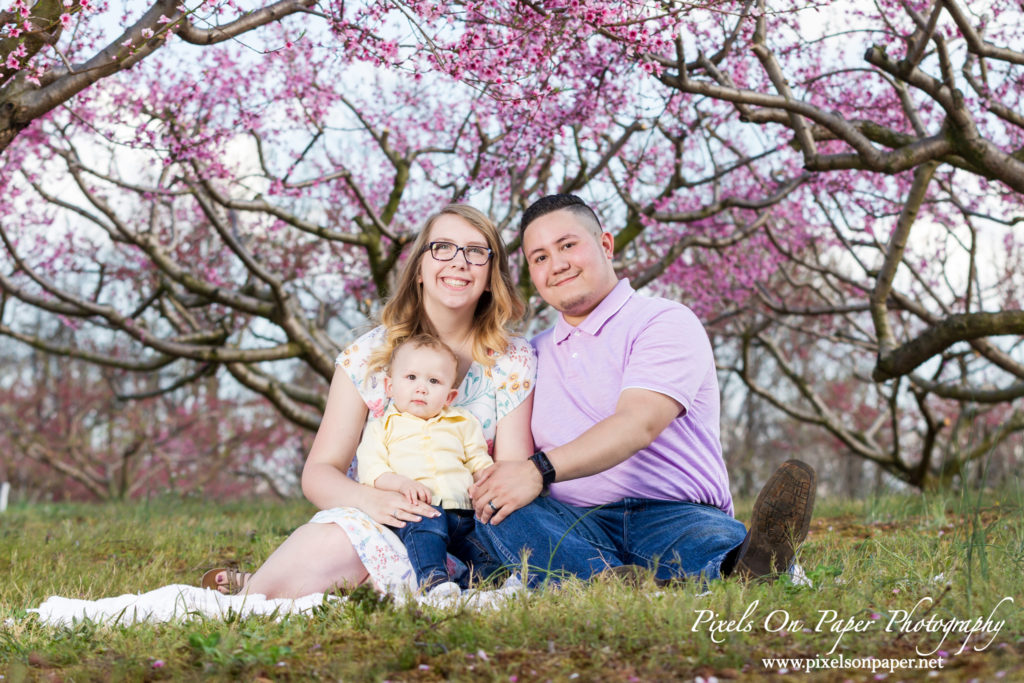 Orozco family outdoor peach orchard portrait baby announcement photo