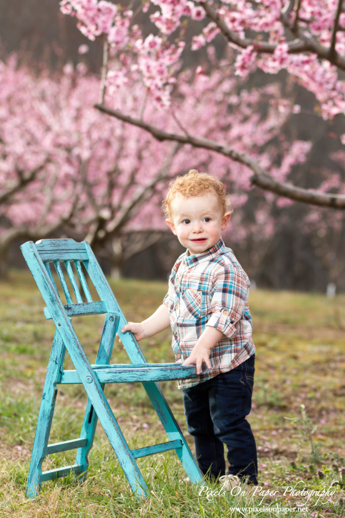 Pixels On Paper Photography Finley Case 18 months orchard portrait photo