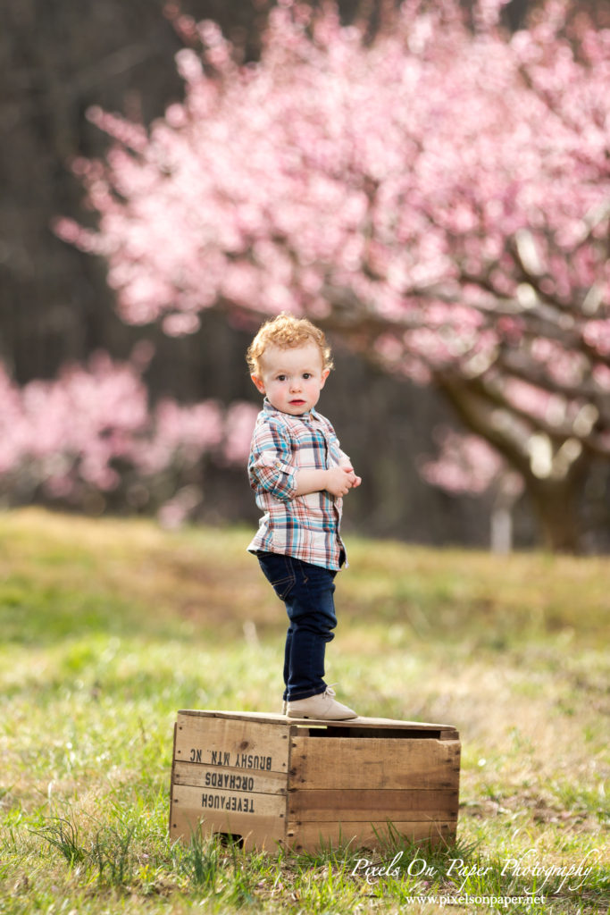 Pixels On Paper Photography Finley Case 18 months orchard portrait photo