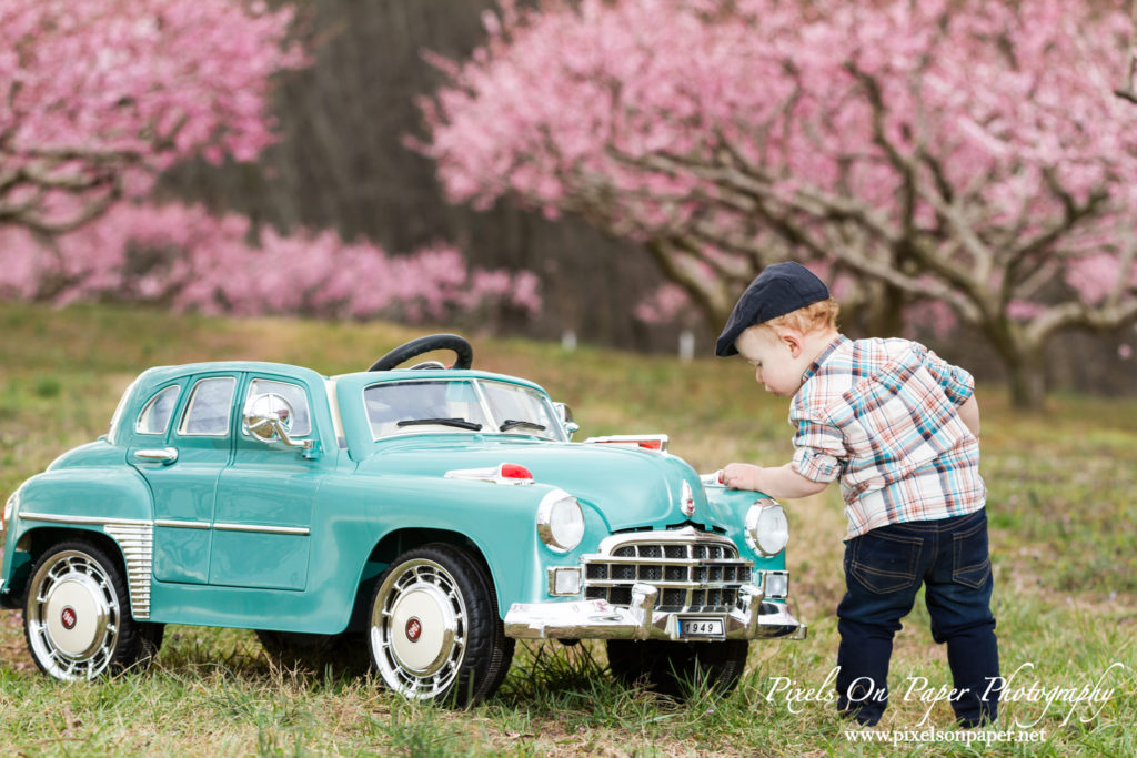 Pixels On Paper Photography Finley Case 18 months orchard portrait photo