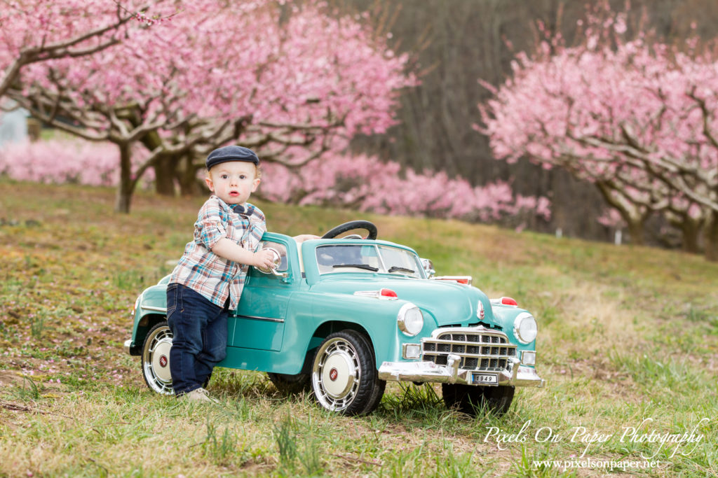 Pixels On Paper Photography Finley Case 18 months orchard portrait photo