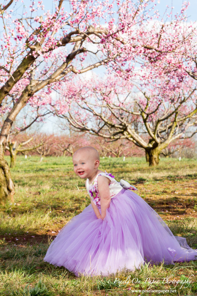 Pixels On Paper Photographers Driver family outdoor spring peach orchard wilkesboro nc portrait photo