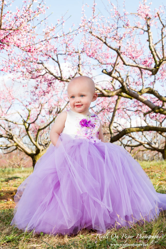 Pixels On Paper Photographers Driver family outdoor spring peach orchard wilkesboro nc portrait photo