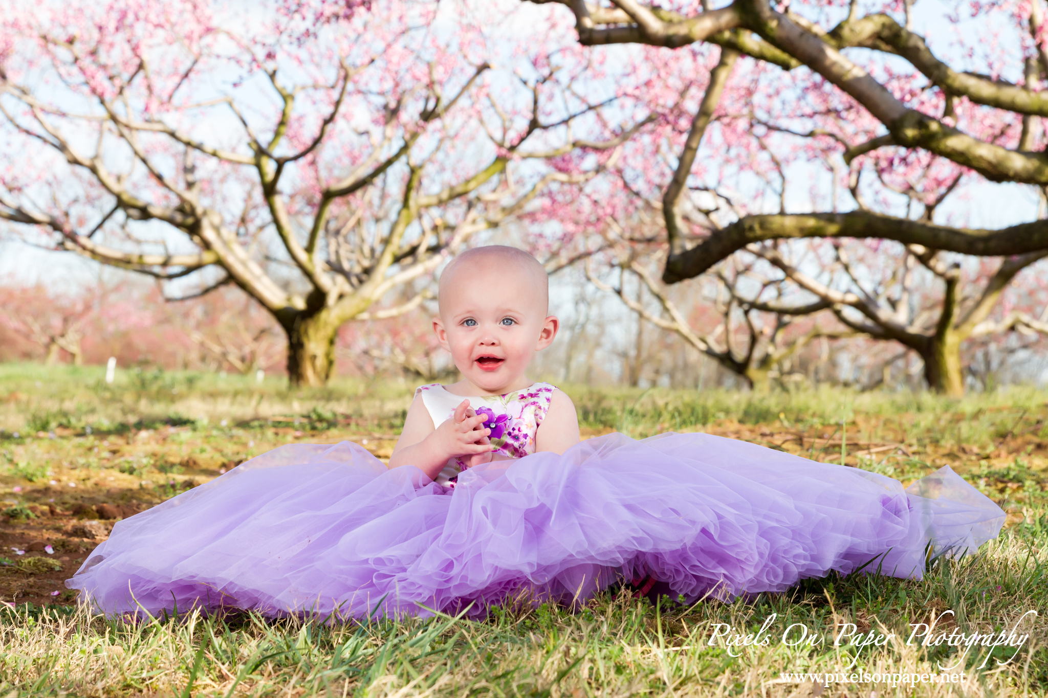 Pixels On Paper Photographers Driver family outdoor spring peach orchard wilkesboro nc portrait photo