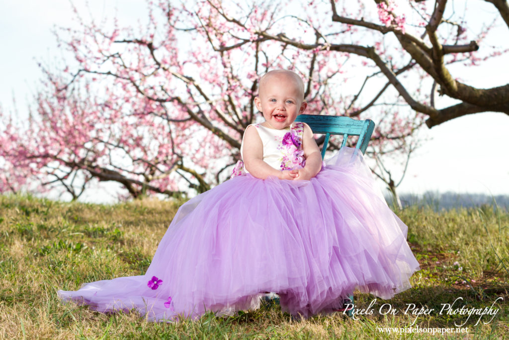 Pixels On Paper Photographers Driver family outdoor spring peach orchard wilkesboro nc portrait photo