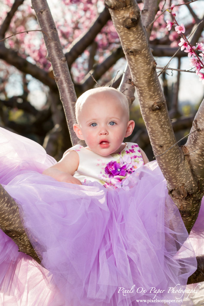 Pixels On Paper Photographers Driver family outdoor spring peach orchard wilkesboro nc portrait photo