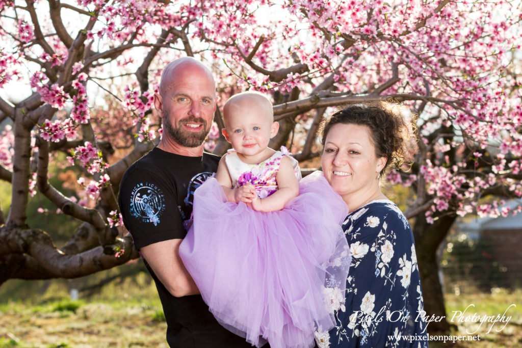 Pixels On Paper Photographers Driver family outdoor spring peach orchard wilkesboro nc portrait photo
