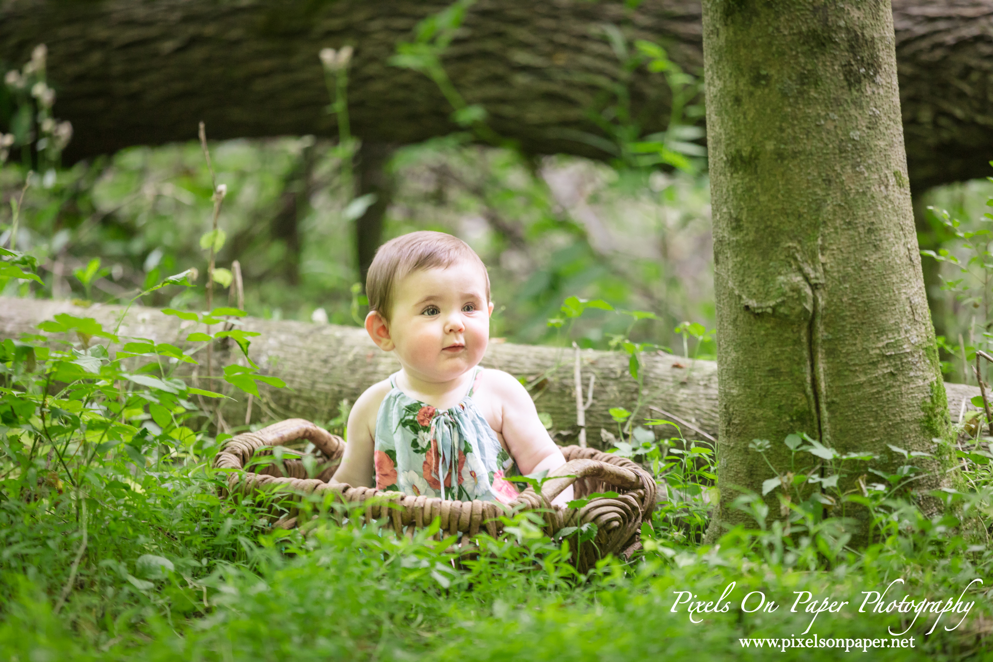 Pixels On Paper Wilkesboro NC Photographers Senter family and baby outdoor portrait photo