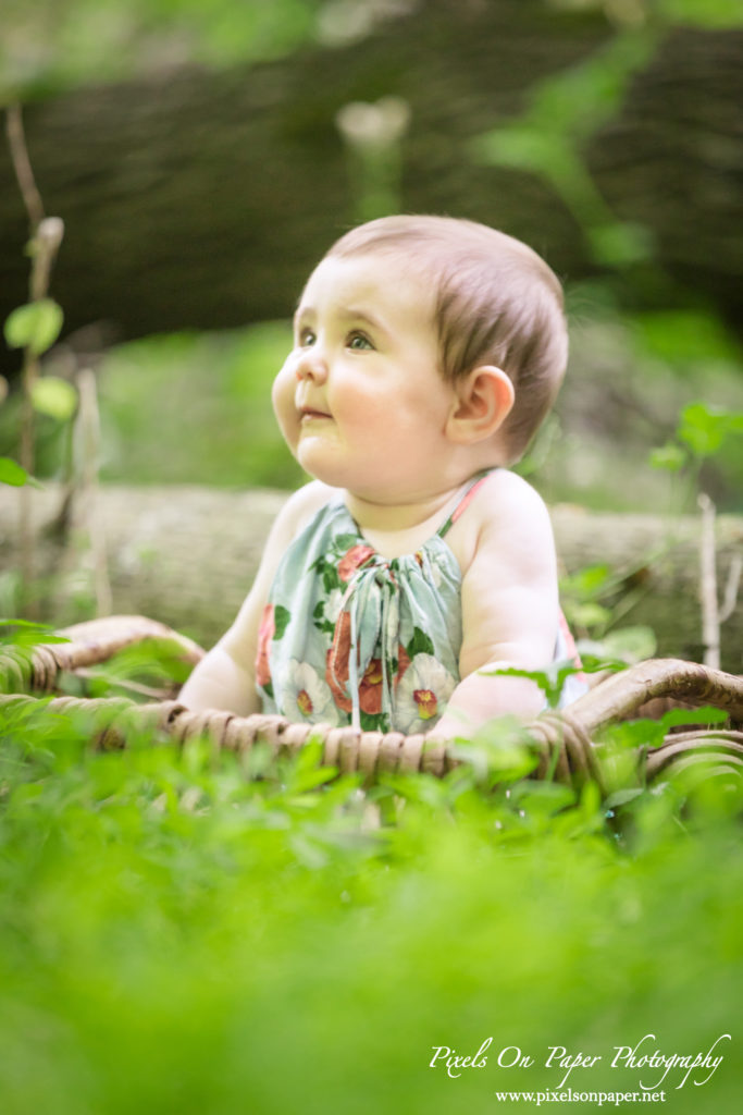 Pixels On Paper Wilkesboro NC Photographers Senter family and baby outdoor portrait photo