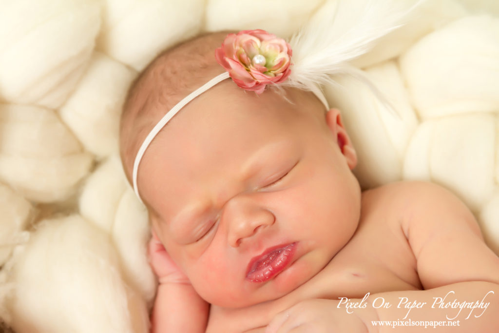 York family Wilkesboro NC newborn photographers portrait photo