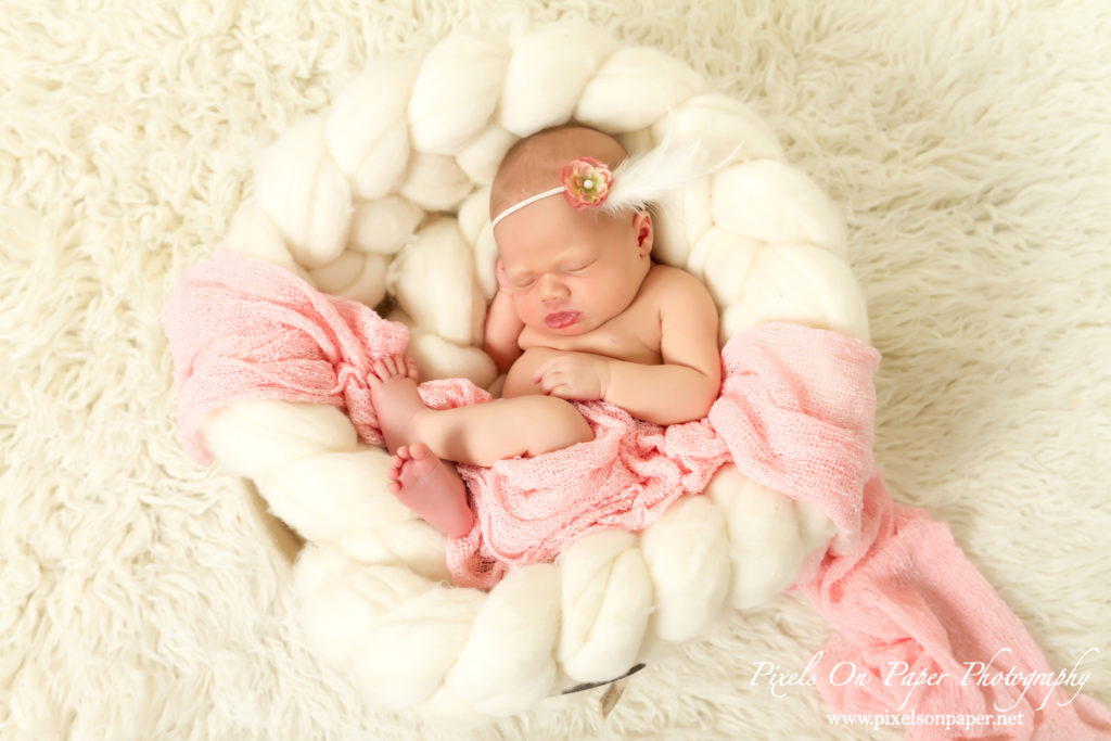 York family Wilkesboro NC newborn photographers portrait photo