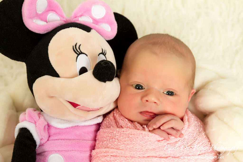 York family Wilkesboro NC newborn photographers portrait photo