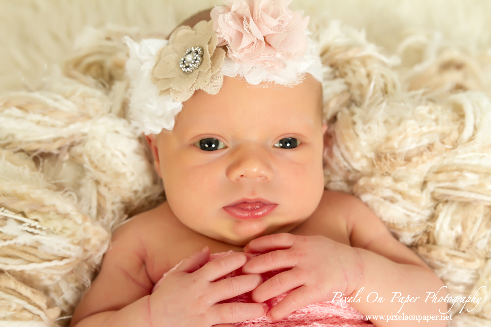 York family Wilkesboro NC newborn photographers portrait photo