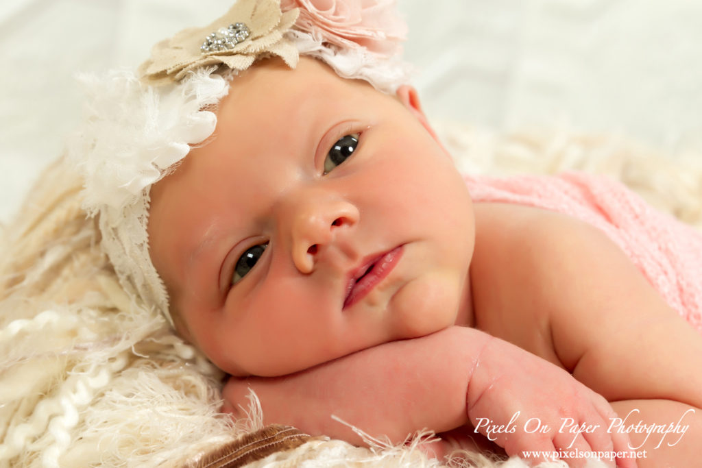 York family Wilkesboro NC newborn photographers portrait photo