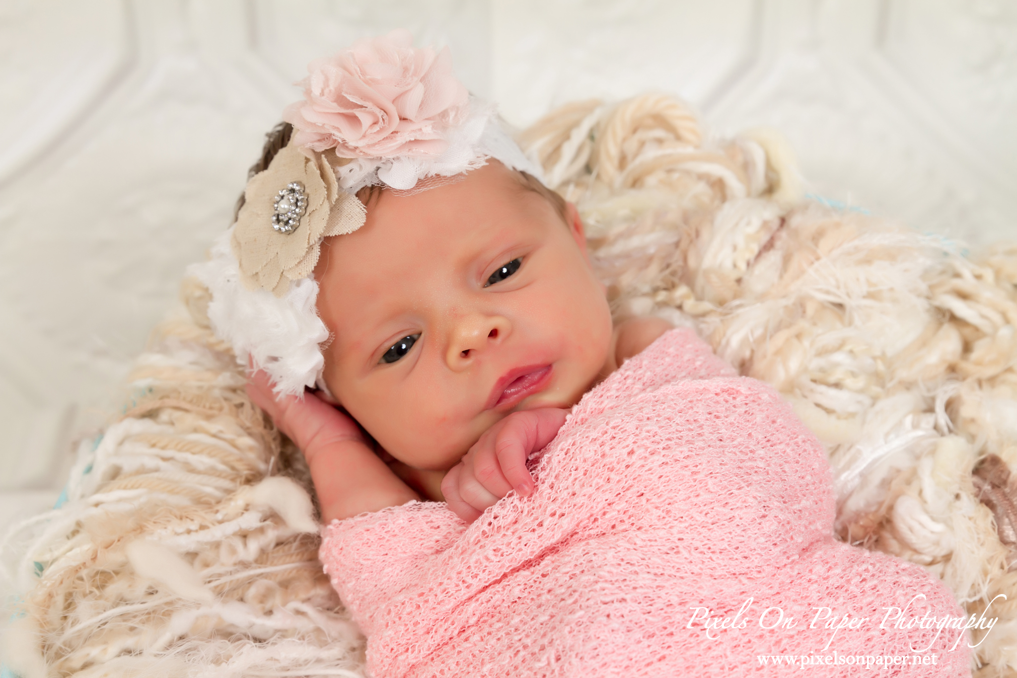 Studio Newborn Portrait Photography by Pixels On Paper Wilkesboro NC Photographers Photo