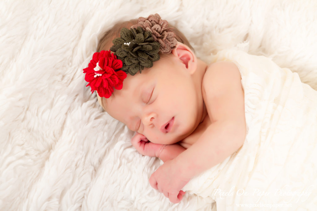 Studio Newborn Portrait Photography by Pixels On Paper Wilkesboro NC Photographers Photo