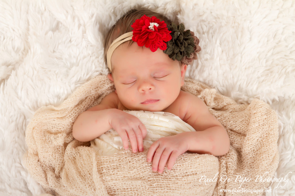 Studio Newborn Portrait Photography by Pixels On Paper Wilkesboro NC Photographers Photo