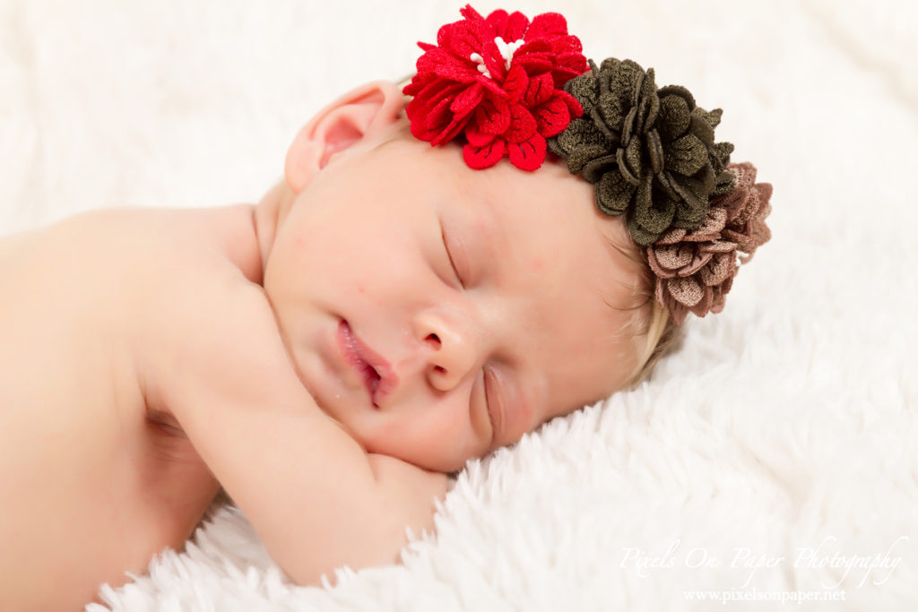 Studio Newborn Portrait Photography by Pixels On Paper Wilkesboro NC Photographers Photo