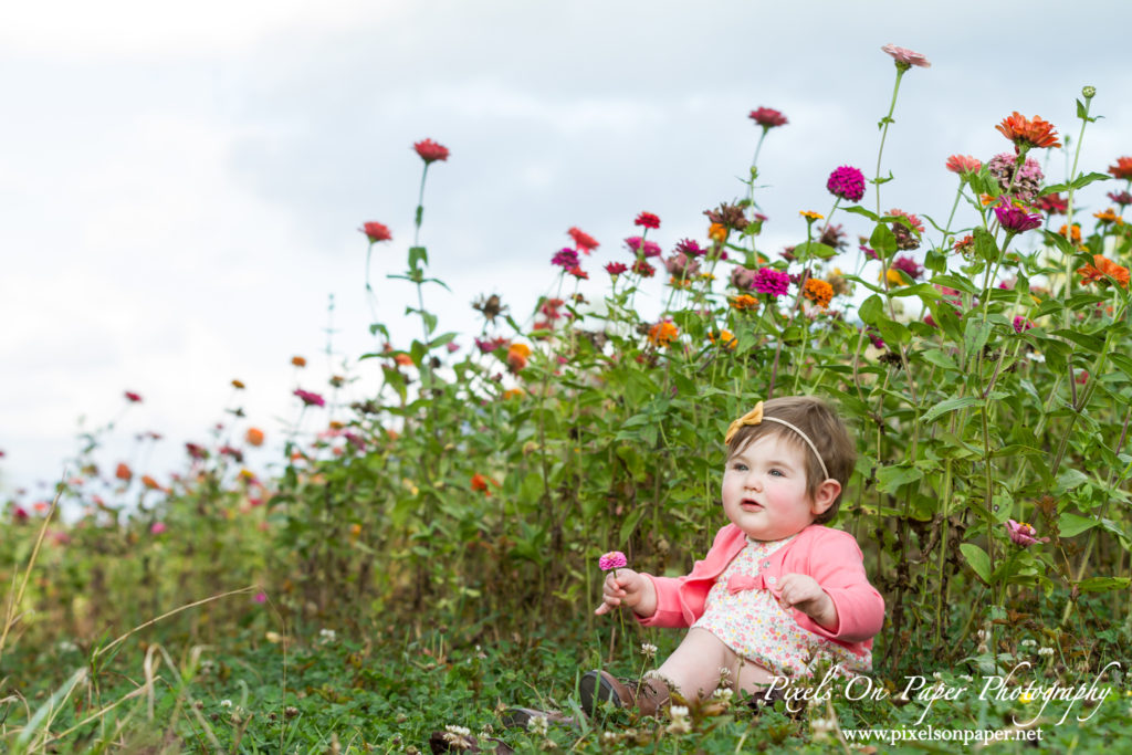 One Year Old Child and family Portrait Photography by Pixels On Paper Jefferson NC Photographers Photo