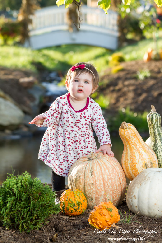 One Year Old Child and family Portrait Photography by Pixels On Paper Jefferson NC Photographers Photo