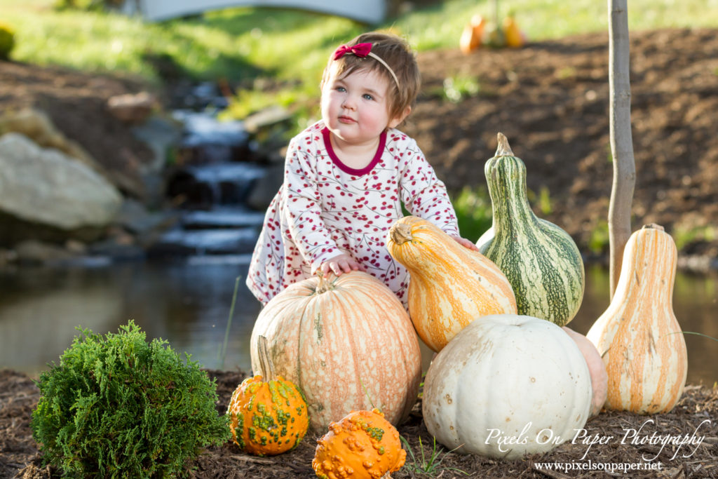 One Year Old Child and family Portrait Photography by Pixels On Paper Jefferson NC Photographers Photo