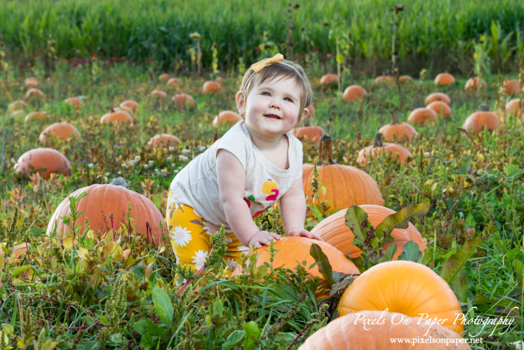 One Year Old Child and family Portrait Photography by Pixels On Paper Jefferson NC Photographers Photo