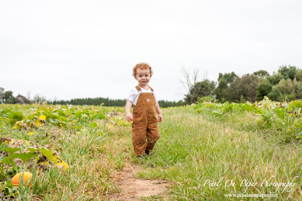 Pixels On Paper Photographers Howards Family Farm Fall Pumpkin Patch Photo