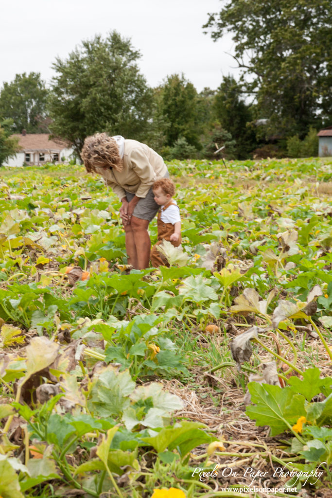 Pixels On Paper Photographers Howards Family Farm Fall Pumpkin Patch Photo