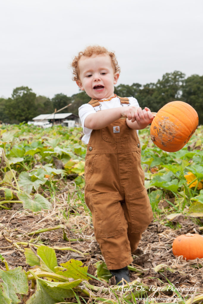 Pixels On Paper Photographers Howards Family Farm Fall Pumpkin Patch Photo