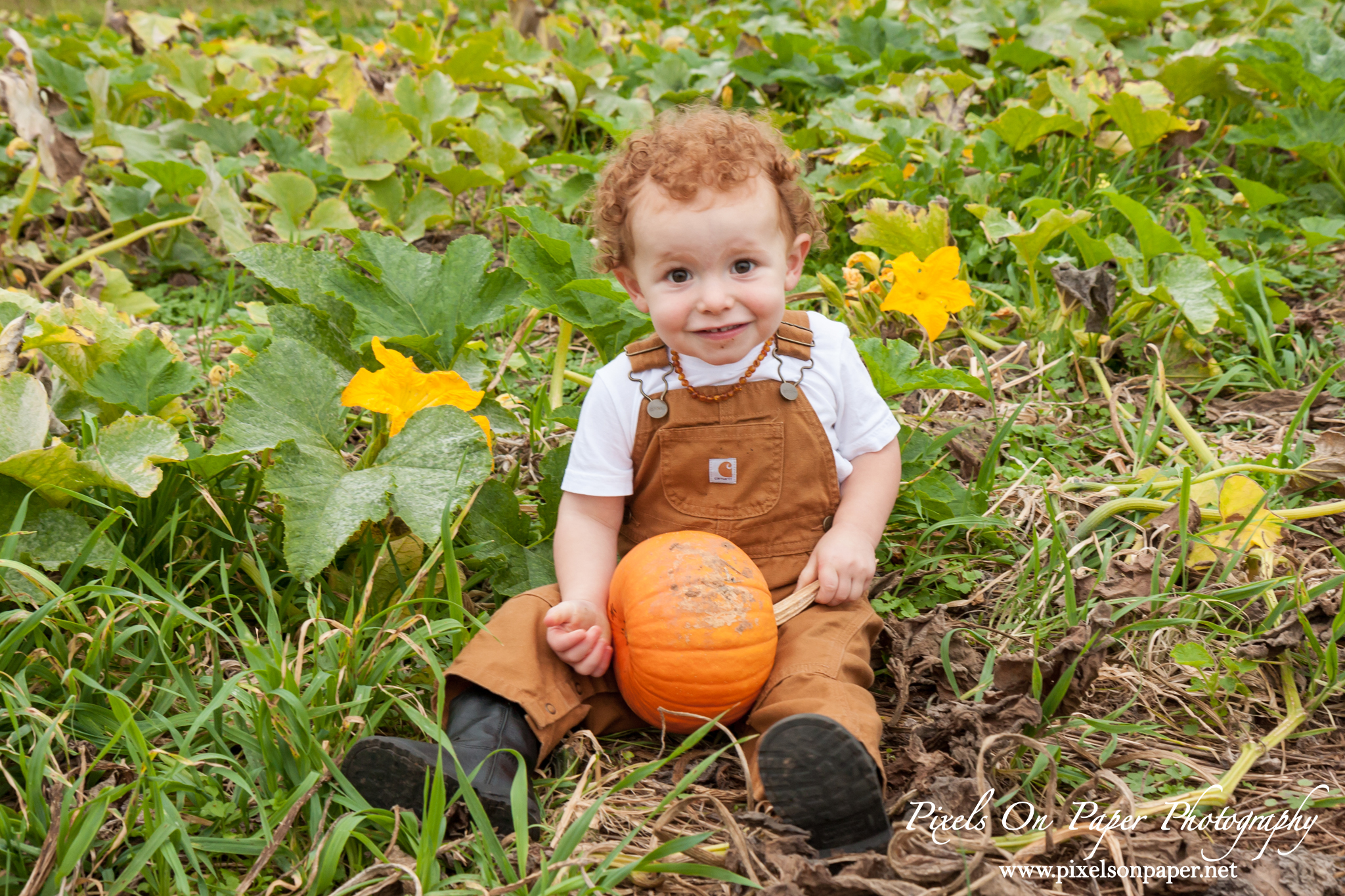 Pixels On Paper Photographers Howards Family Farm Fall Pumpkin Patch Photo