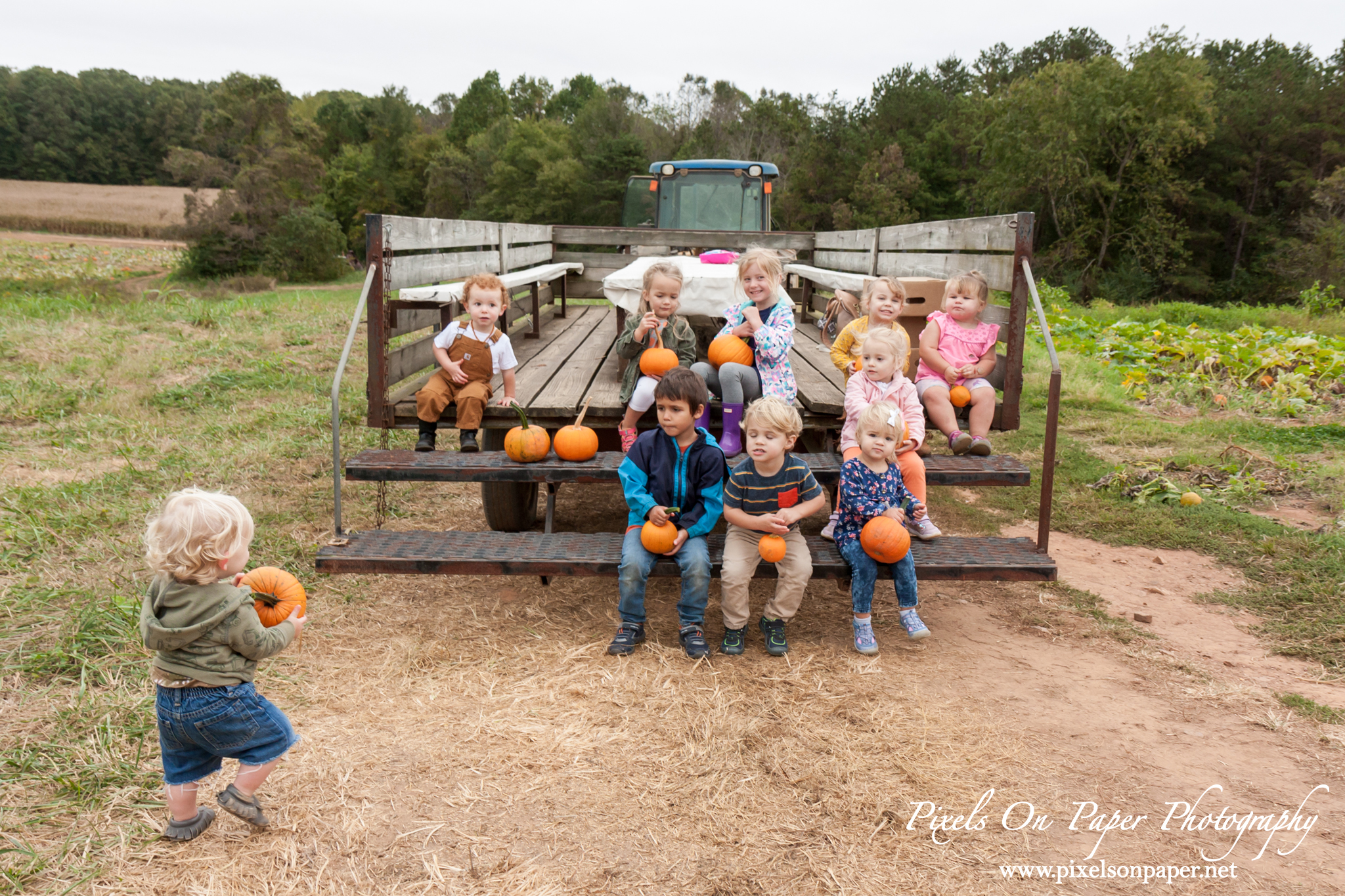 Pixels On Paper Photographers Howards Family Farm Fall Pumpkin Patch Photo