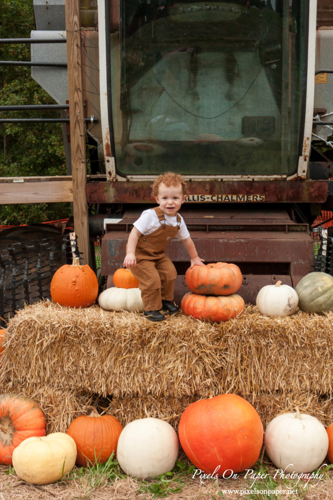 Pixels On Paper Photographers Howards Family Farm Fall Pumpkin Patch Photo