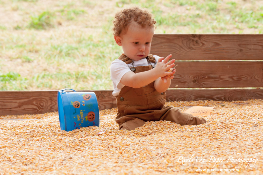 Pixels On Paper Photographers Howards Family Farm Fall Pumpkin Patch Photo