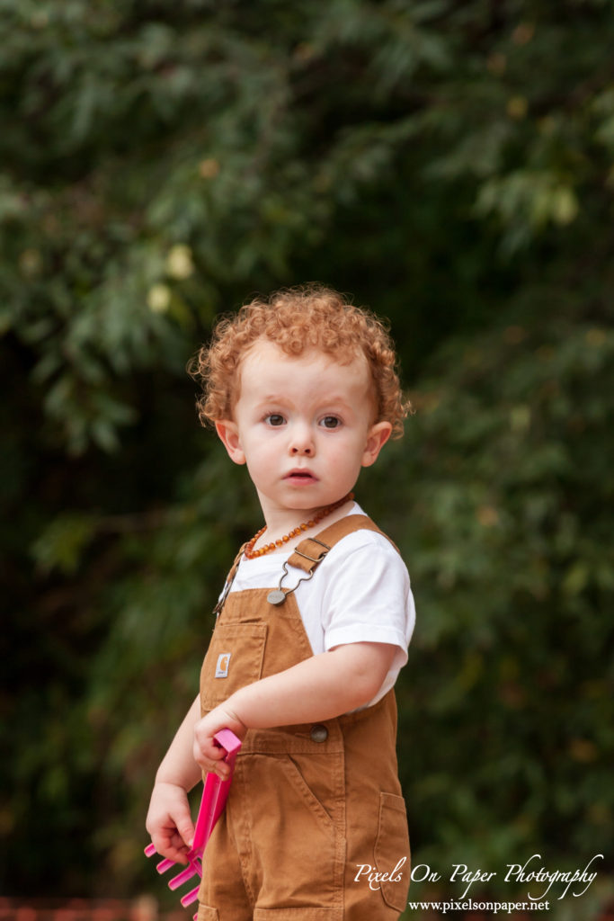 Pixels On Paper Photographers Howards Family Farm Fall Pumpkin Patch Photo