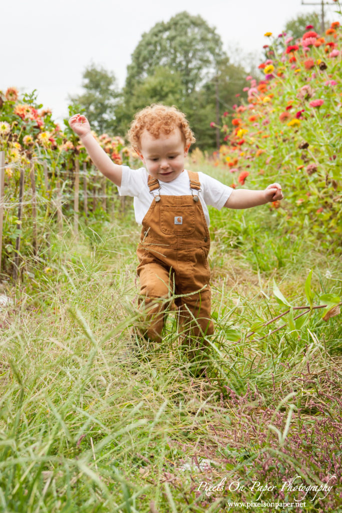 Pixels On Paper Photographers Howards Family Farm Fall Pumpkin Patch Photo