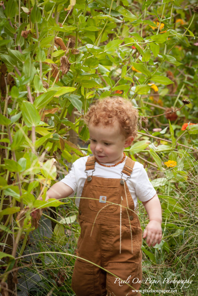 Pixels On Paper Photographers Howards Family Farm Fall Pumpkin Patch Photo