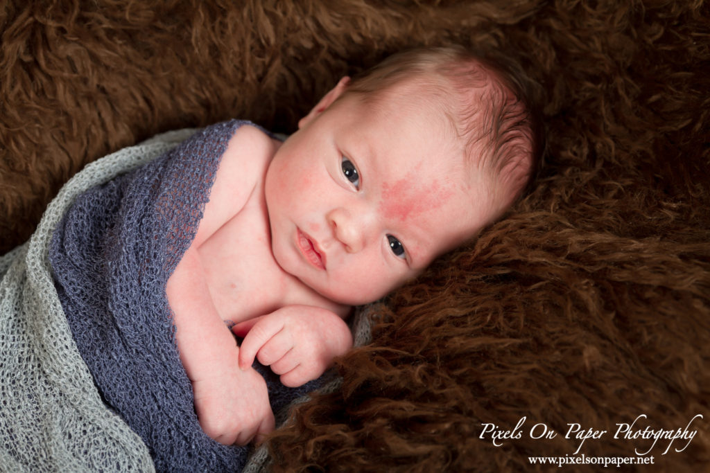 Pixels On Paper Family Photographers Wilkesboro NC Newborn Baby Studio Photo