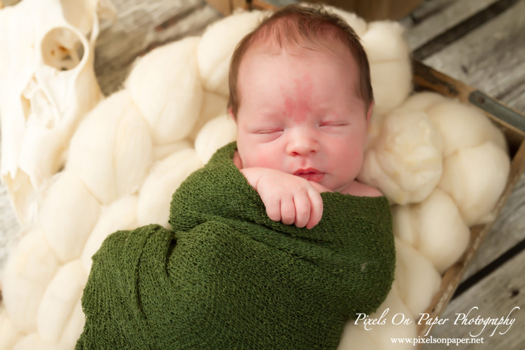 Pixels On Paper Family Photographers Wilkesboro NC Newborn Baby Studio Photo