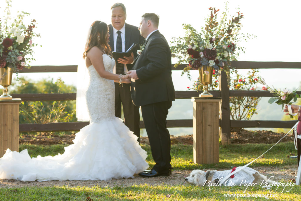 Sevilla / Cummings Pixels On Paper Photography Asheville NC Crest Pavillion Wedding Photo