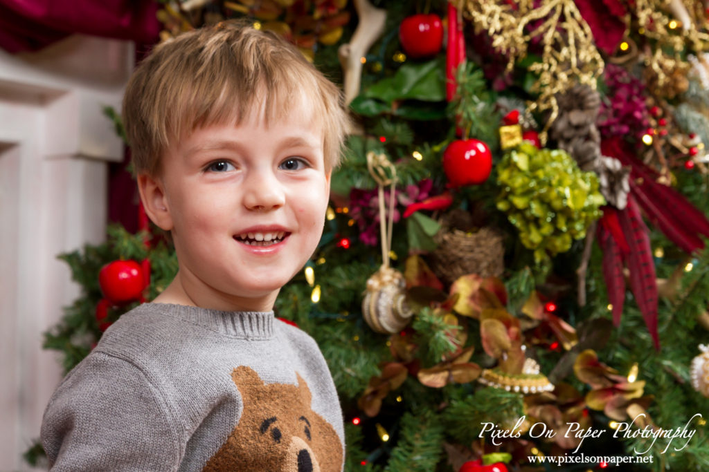 Pixels On Paper Photographers Minick Family Christmas 2019 Photo