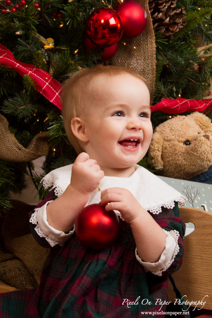 Pixels On Paper Photographers Minick Family Christmas 2013 Photo