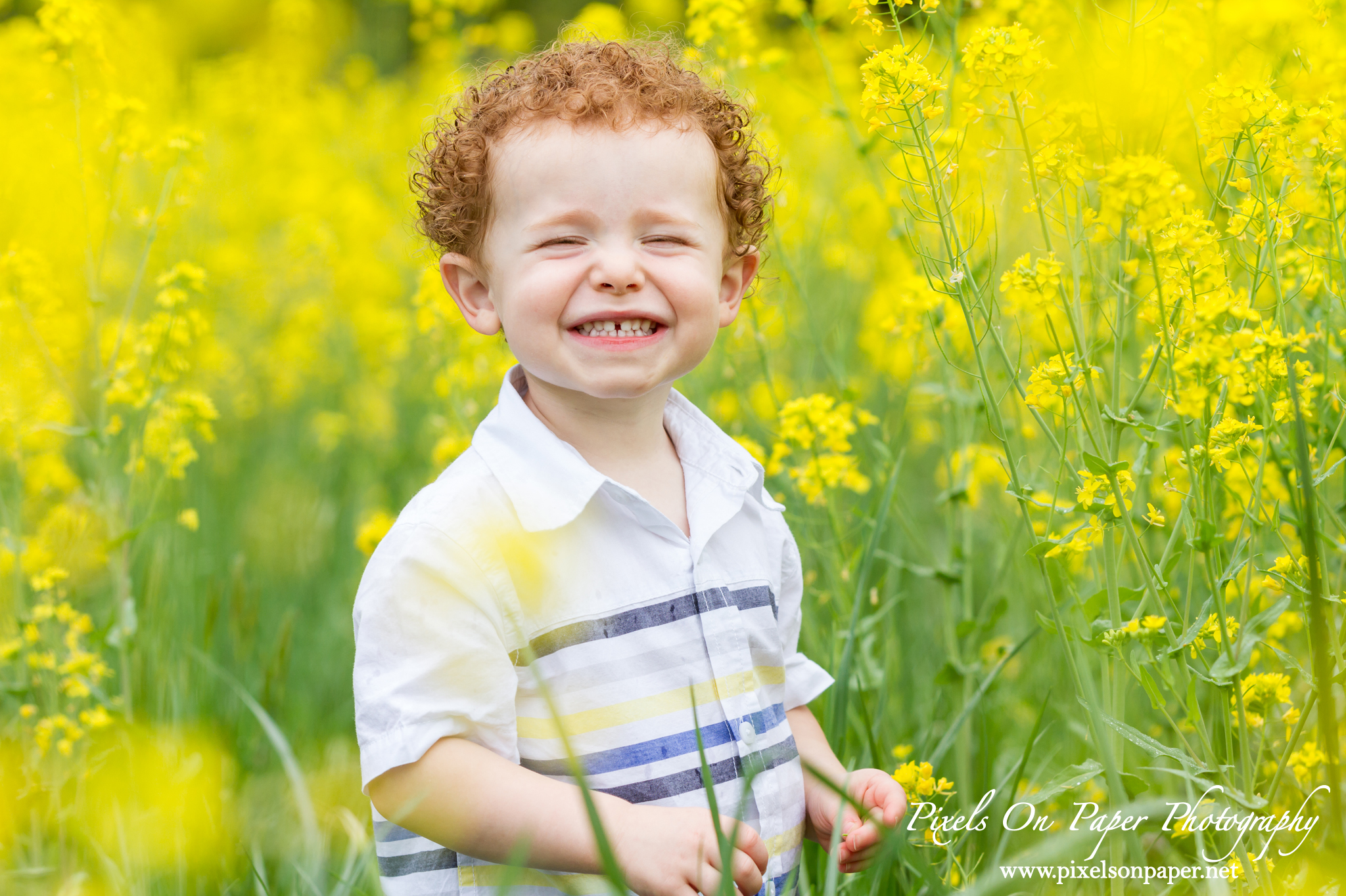 Case family outdoor Spring portrait photos by Pixels On Paper Photography