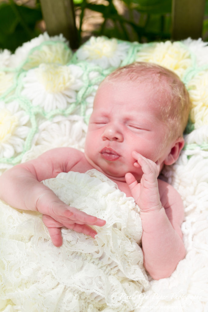 Pixels On Paper Wilkesboro NC Newborn Photographers Baby Aryan photo